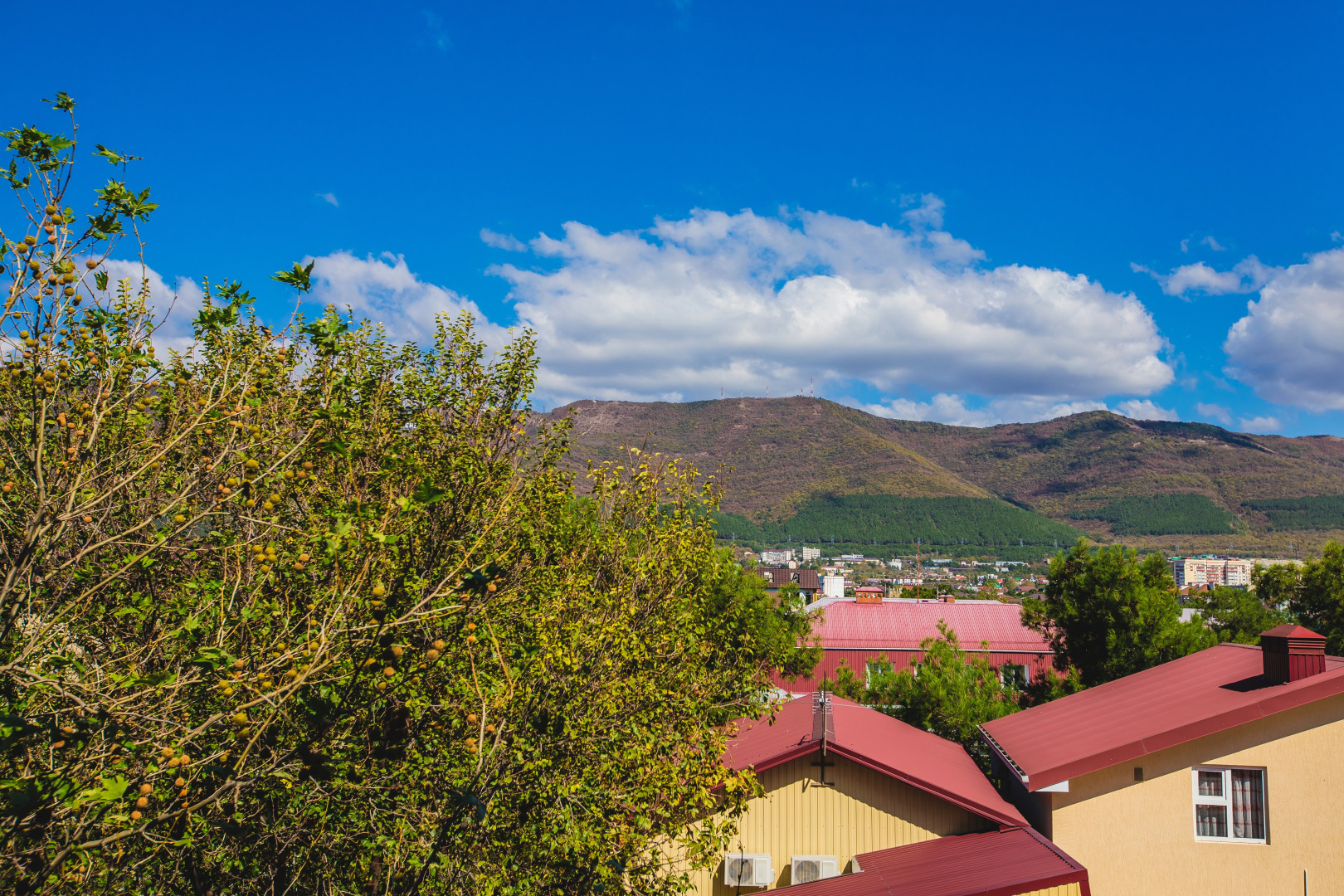 Отель Анжелика