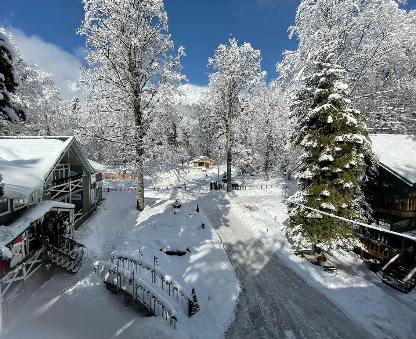 Отель Green Park Spa & Усадьба