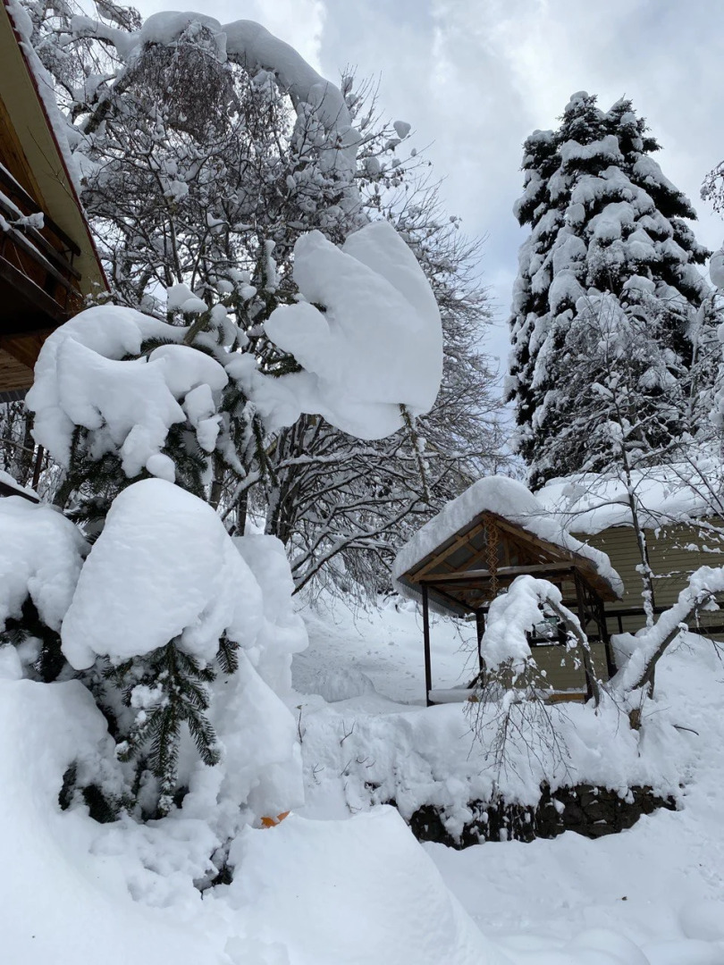 Отель Загородный Лотос