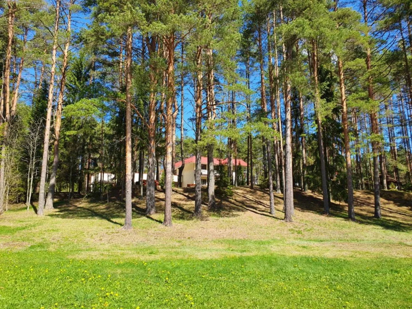 Отель Дивный Мир Хижина