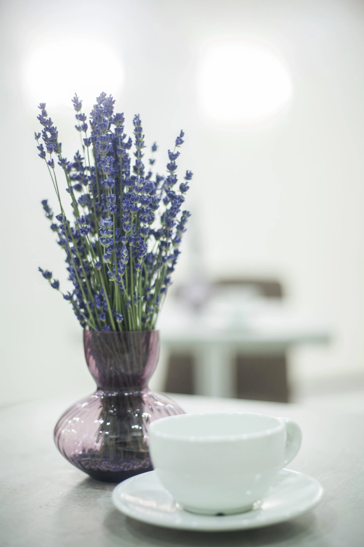 Отель Фарфалле