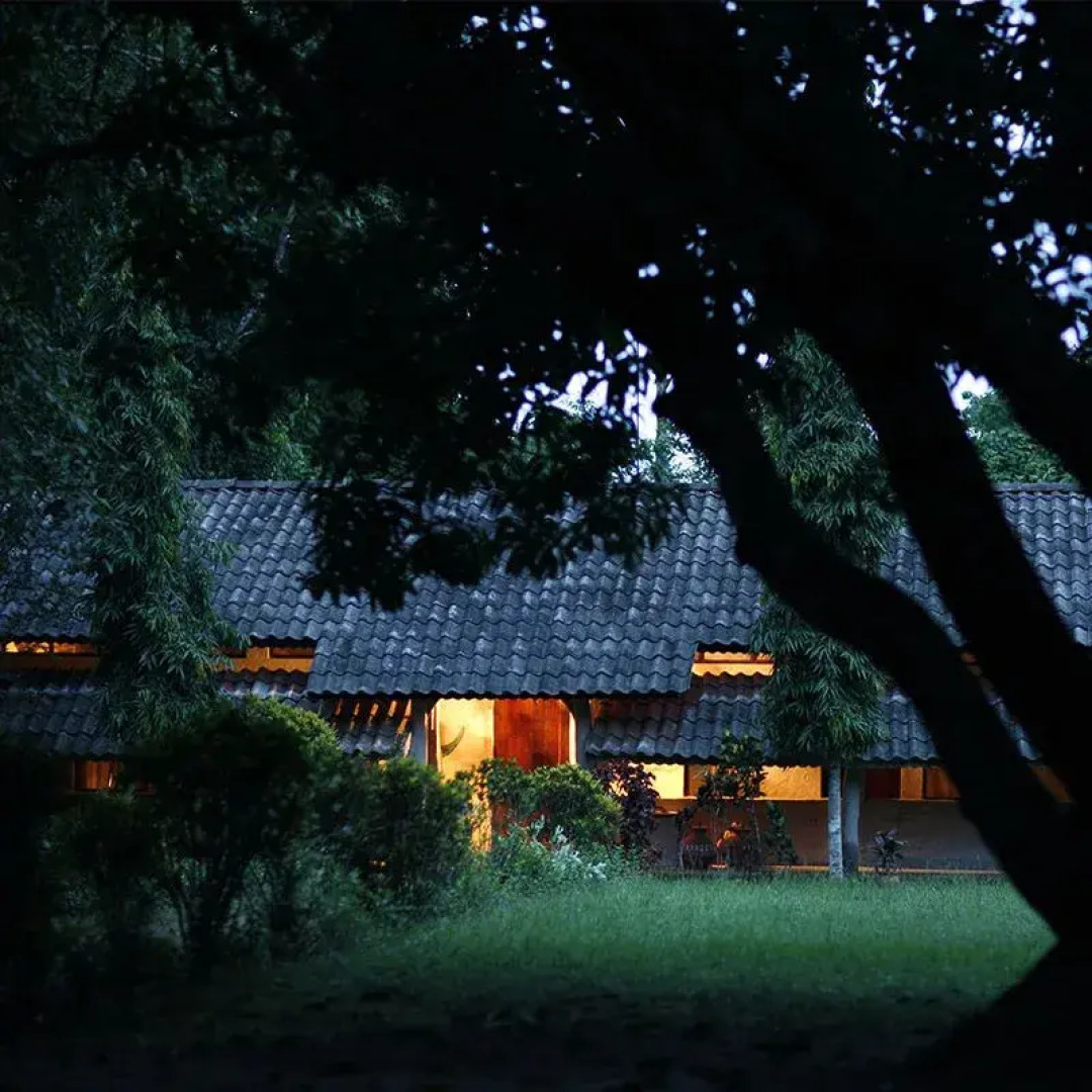 Кемпинг Tigertops Elephant Camp