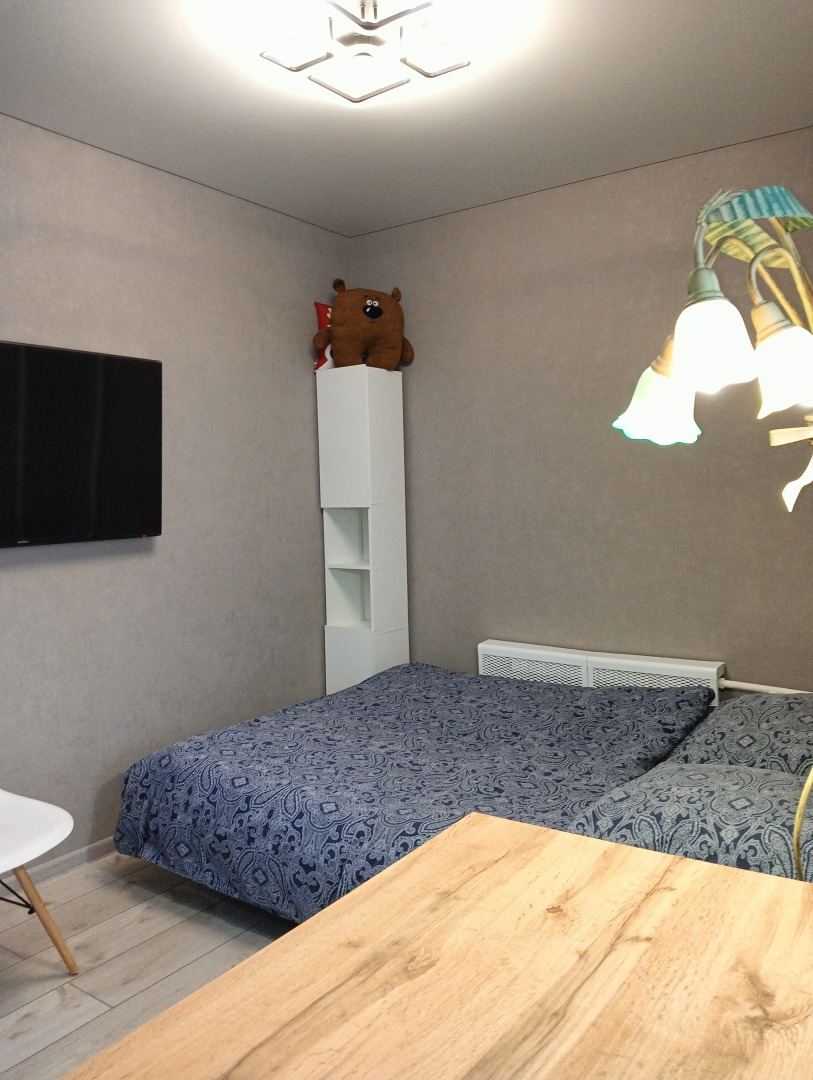 Квартира Мини-студия в Центре на Чехова 17