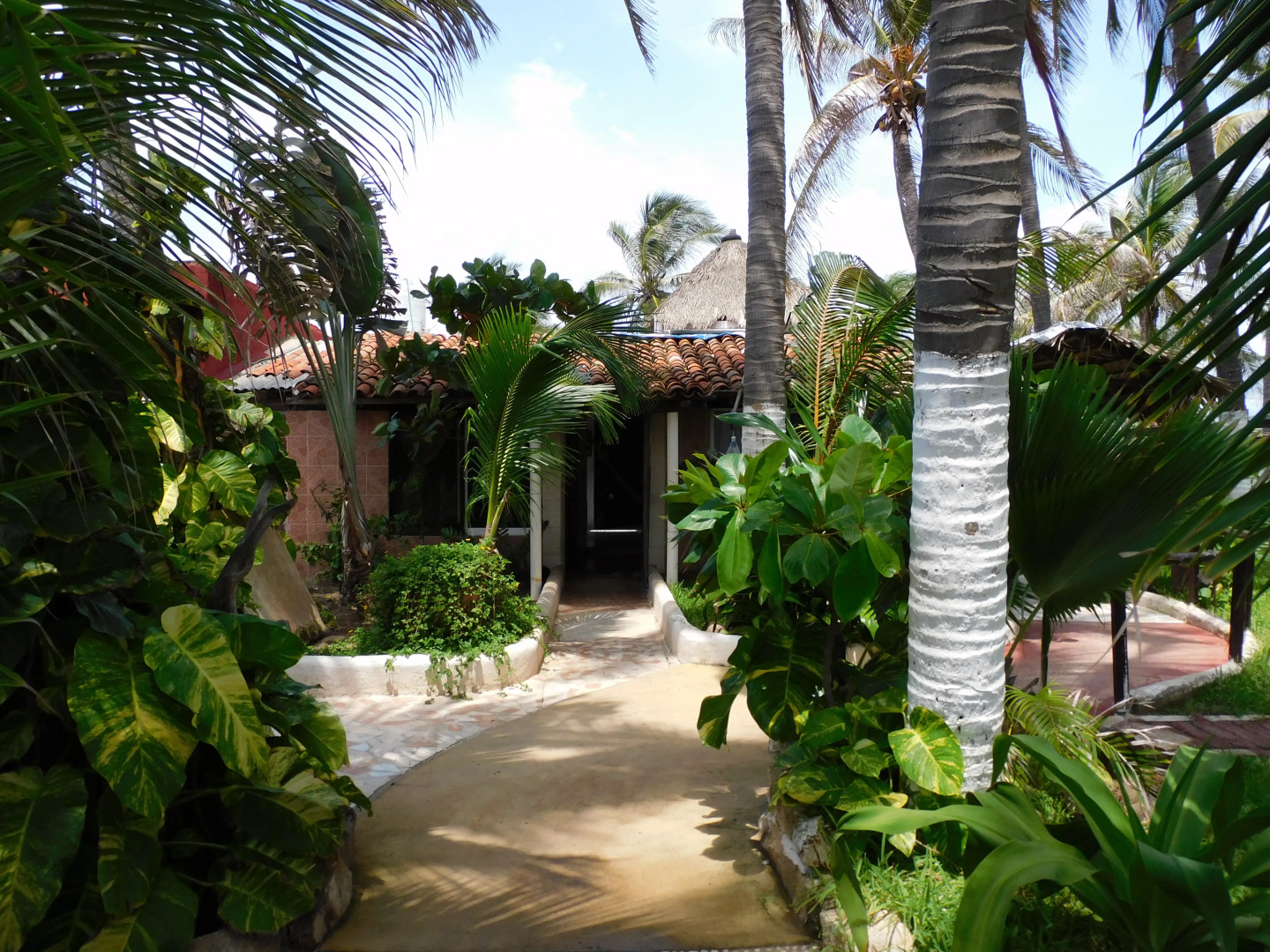 Отель Temazcal y Spa Coquis By Rotamundos