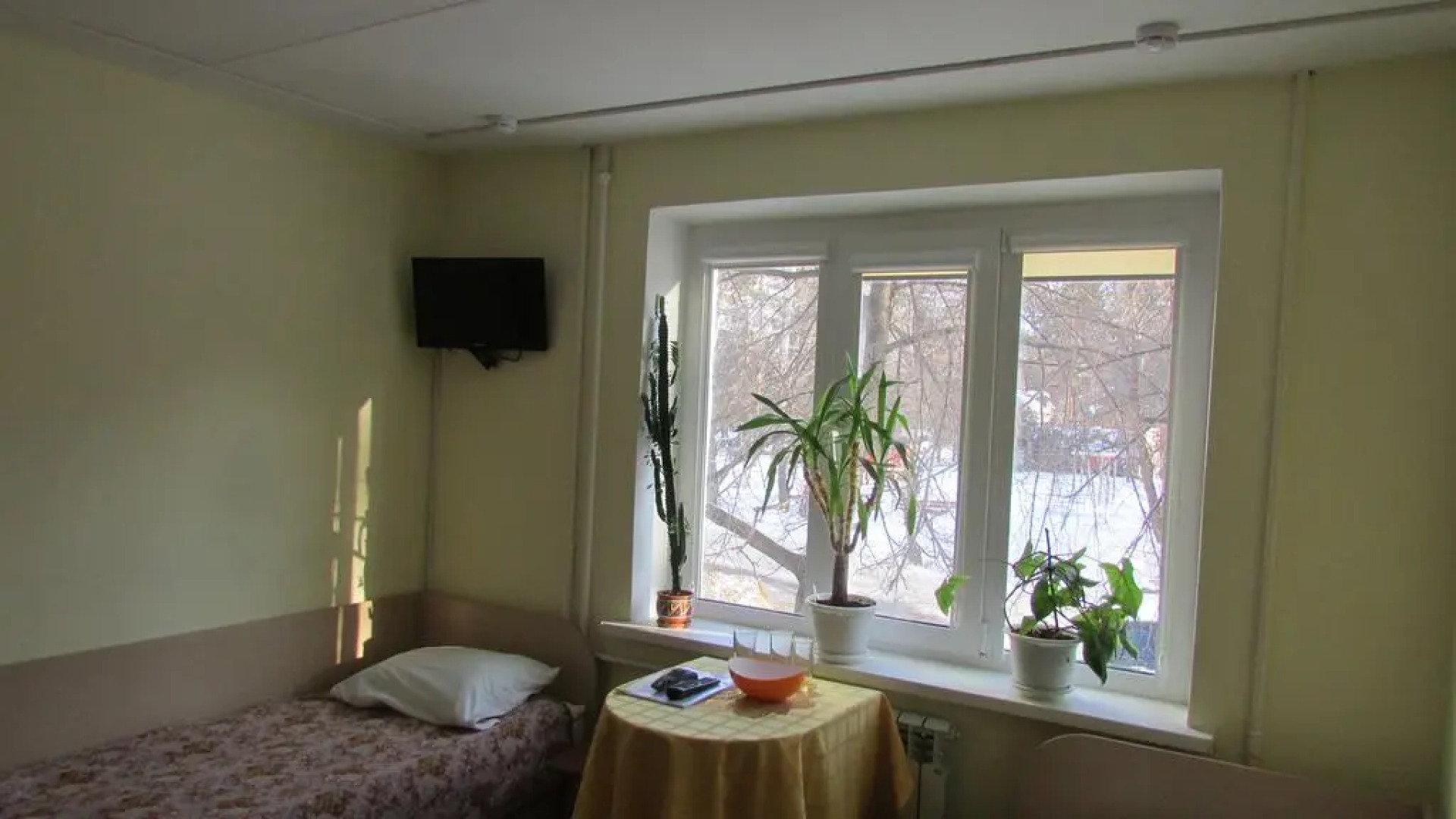 Отель Золотая рыбка