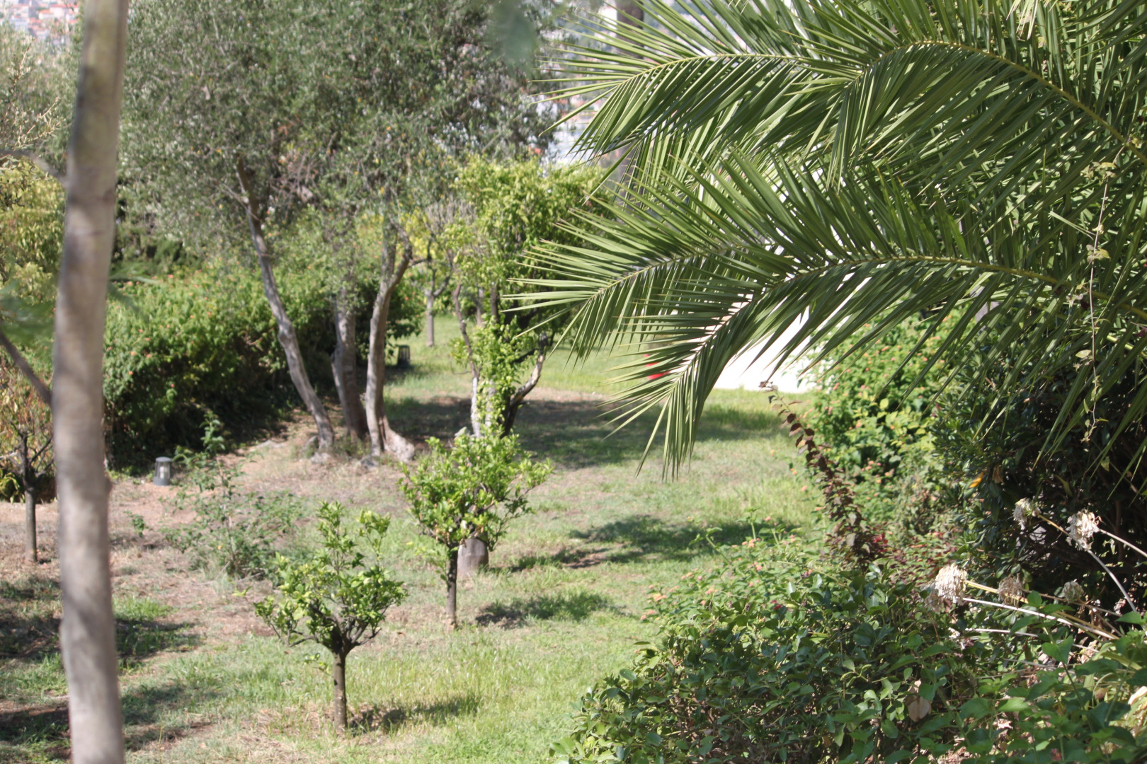 Вилла Невада