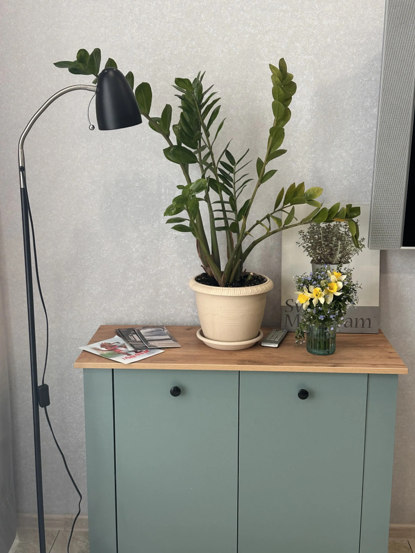 Квартира Хюгге