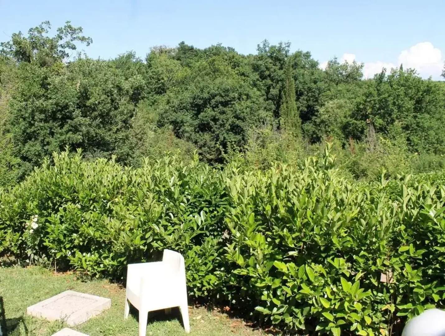 Donna Etrusca B&B
