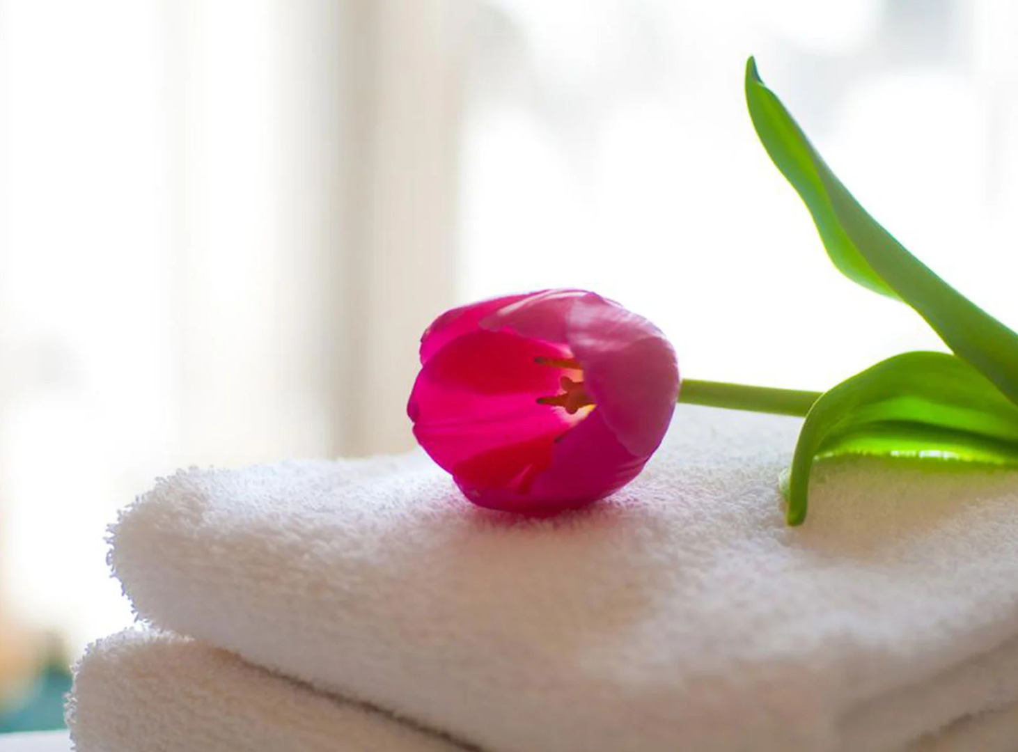 Отель Jerusalem Gardens Hotel & Spa