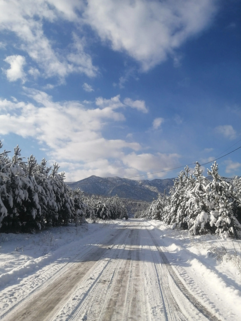 Гостевой дом Усадьба Чикмарёвых