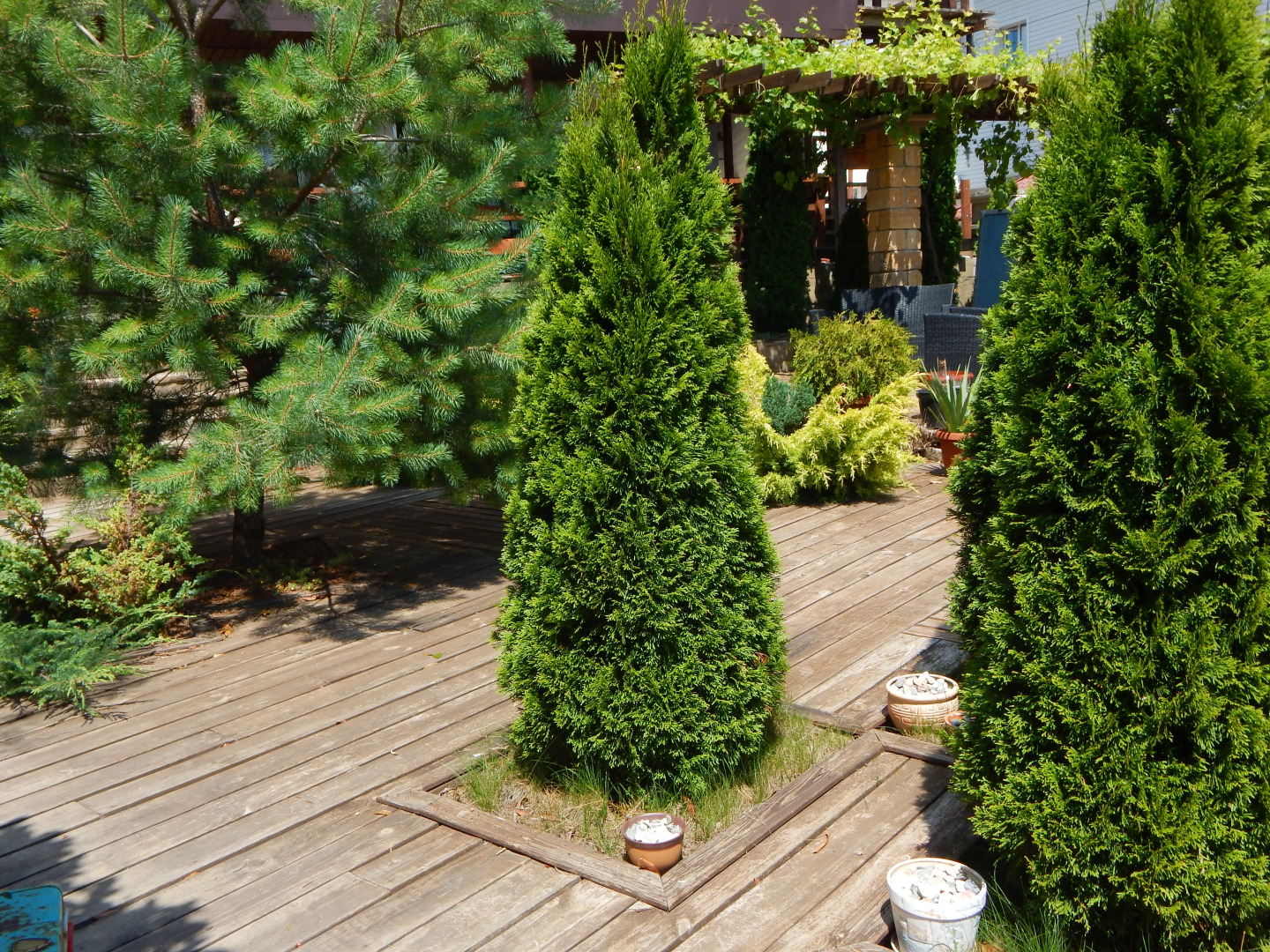 Гостевой Дом Вилла На море