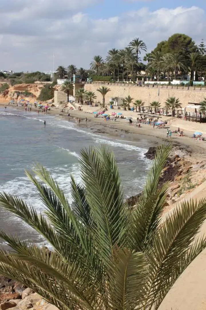 Апартаменты Punta Prima VIP