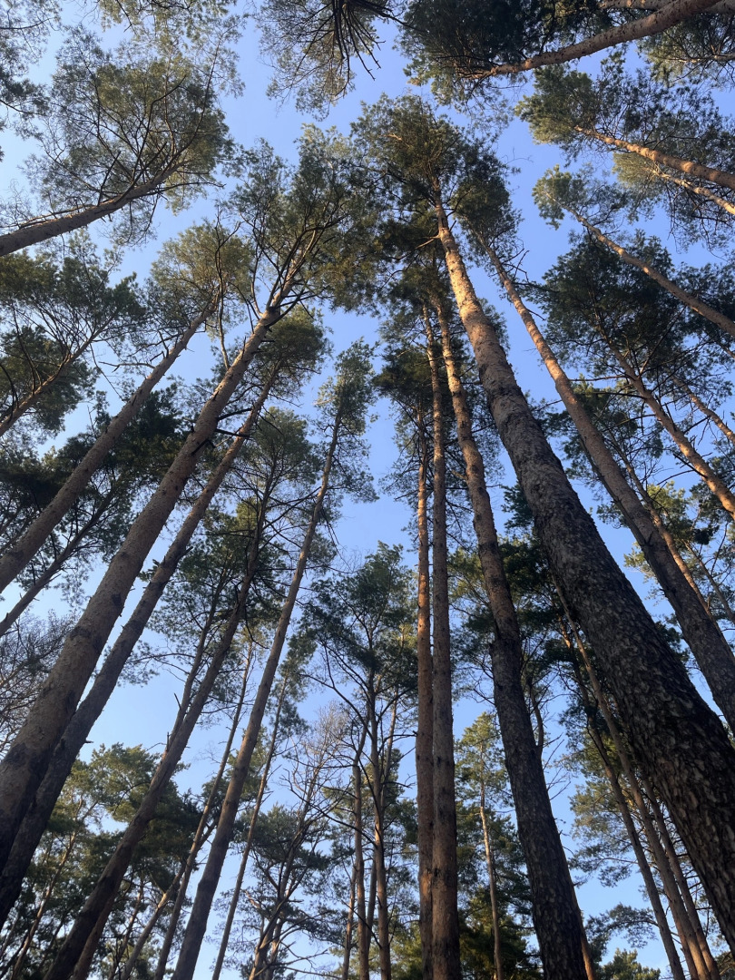 Оздоровительный комплекс Огонек