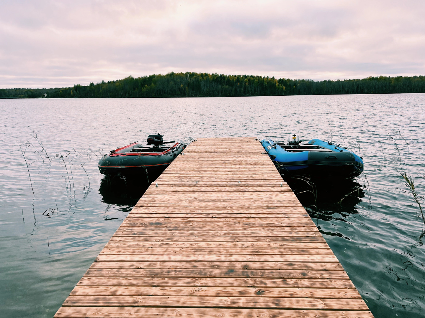 База отдыха Лунный свет