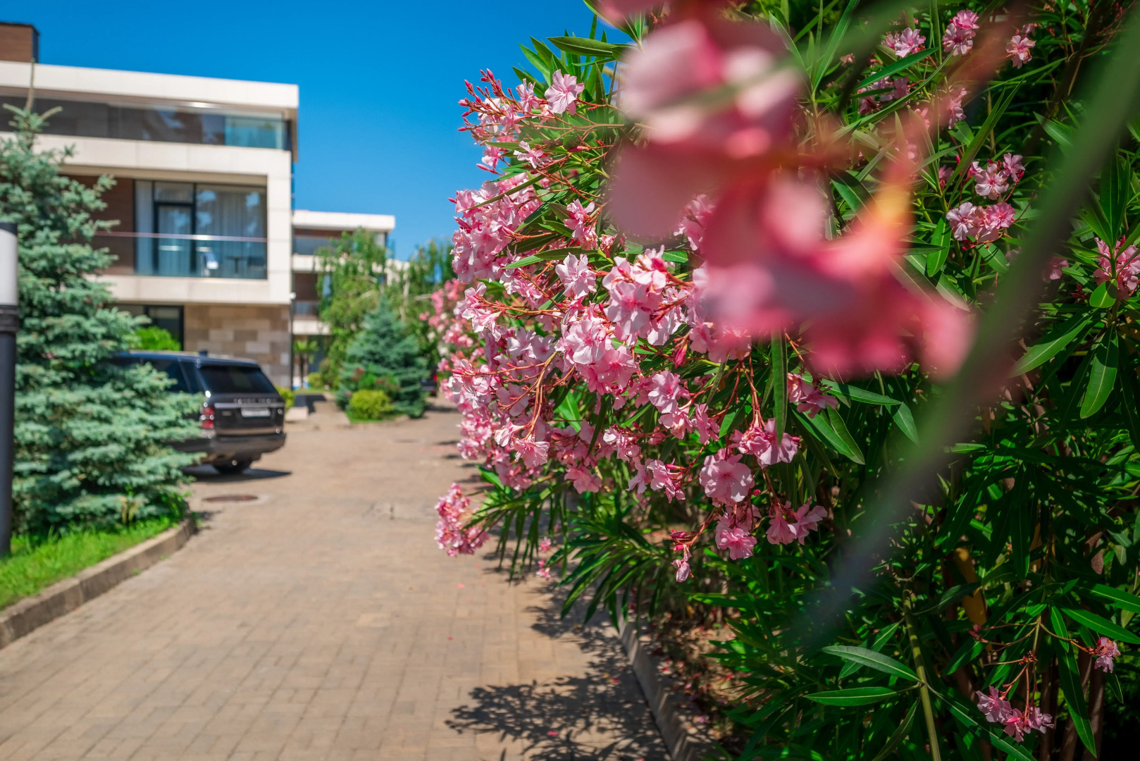 Арфа Парк-отель