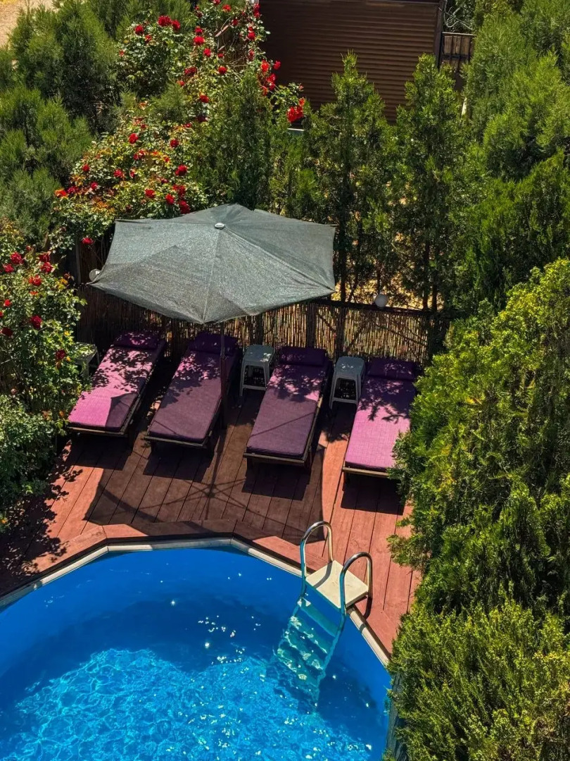 Шале Арт дача Панаехало