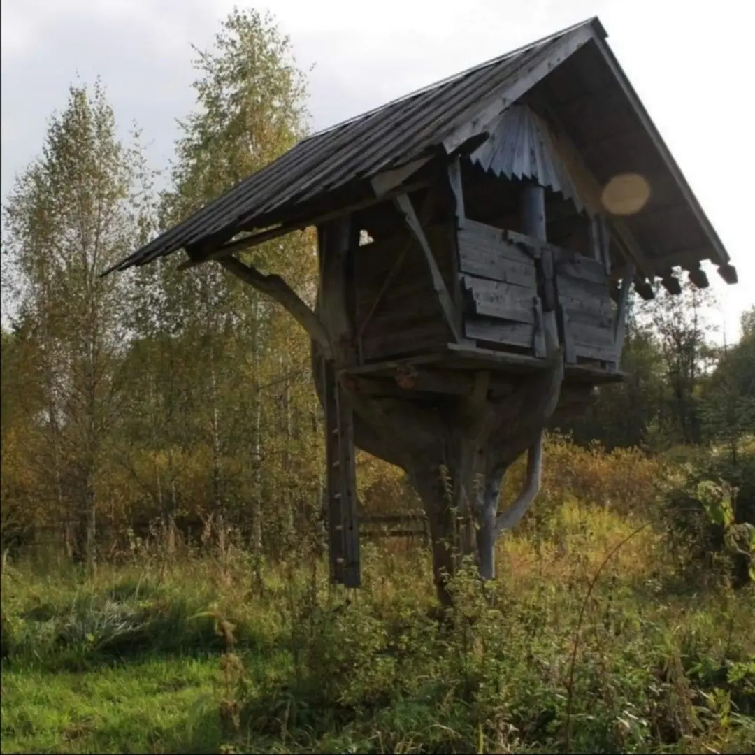 Гостевой дом Beyond Fog