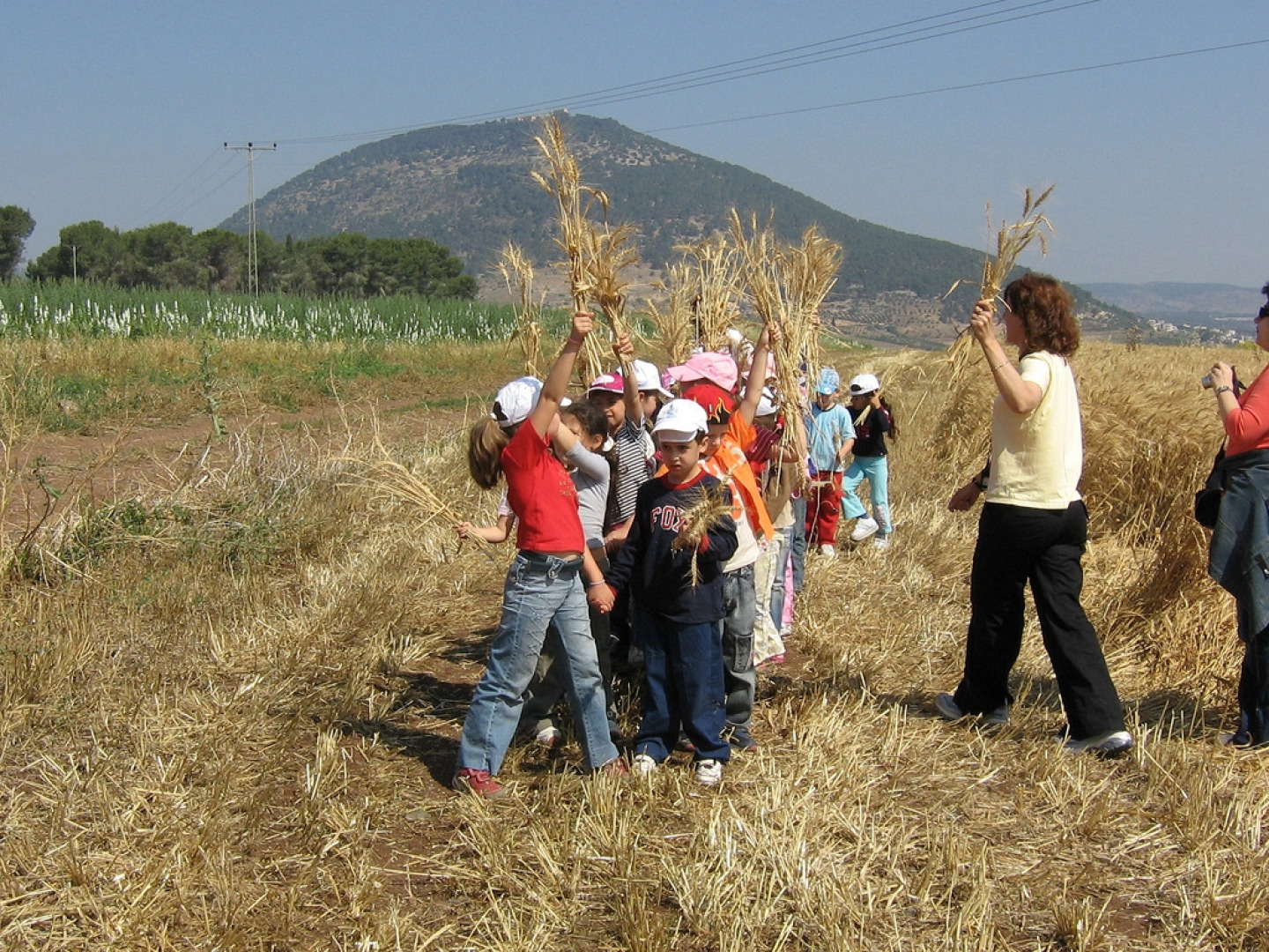 Отель Pearl of the Valley