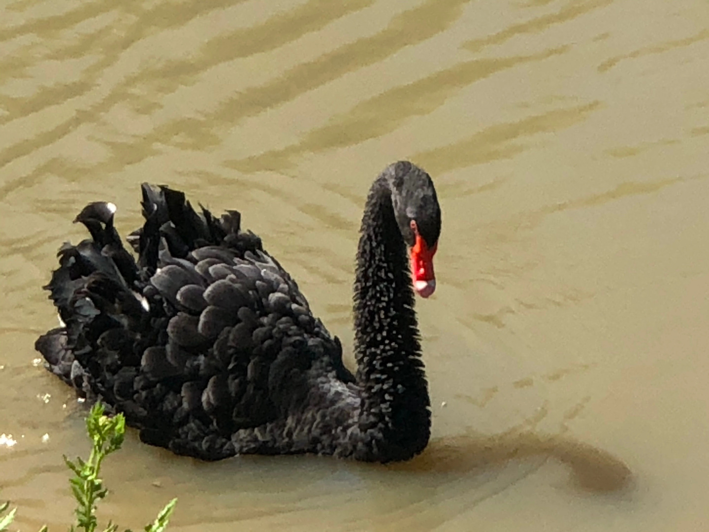 Бутик-отель Эко-Поместье Озера