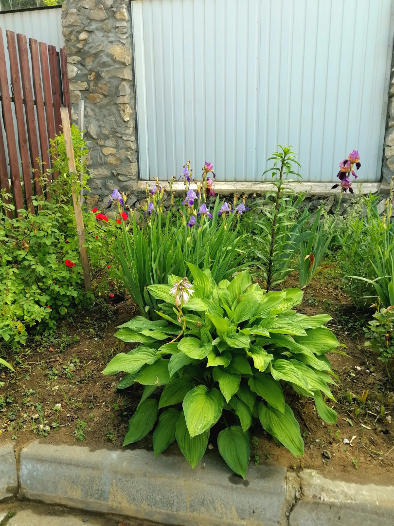 Гостевой Дом Экспедиция