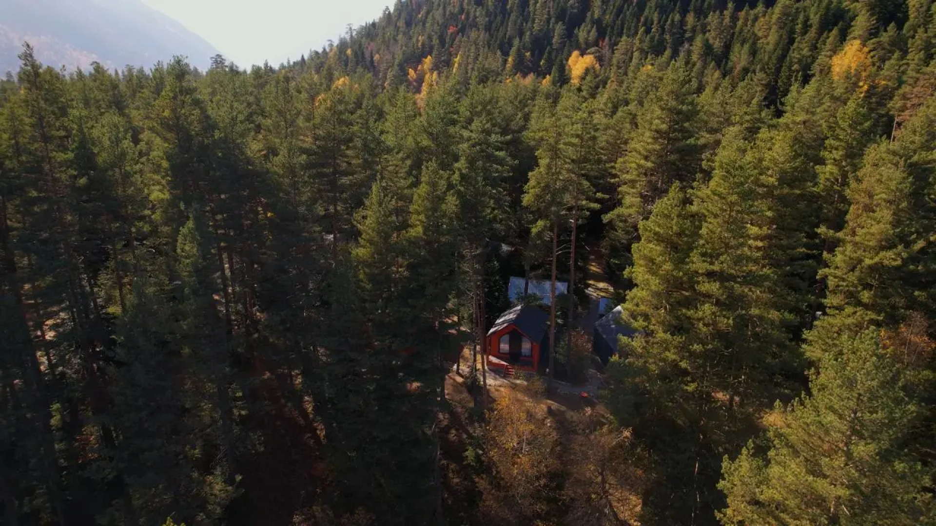 Шале Белый Волк