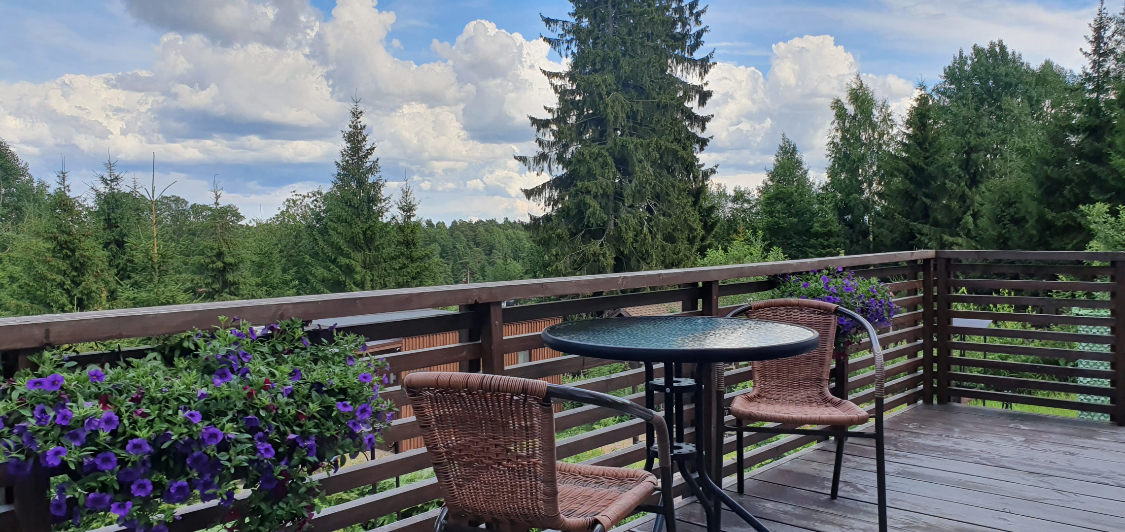 Коттедж Черничный Склон Orhid House