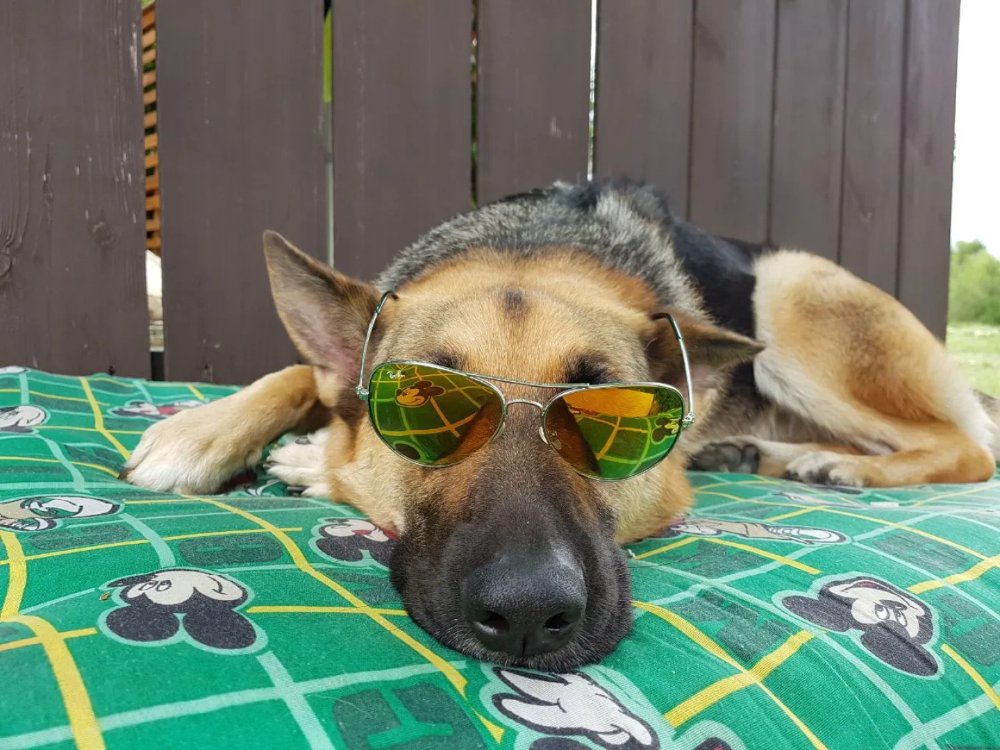 Гостевой дом Бриз