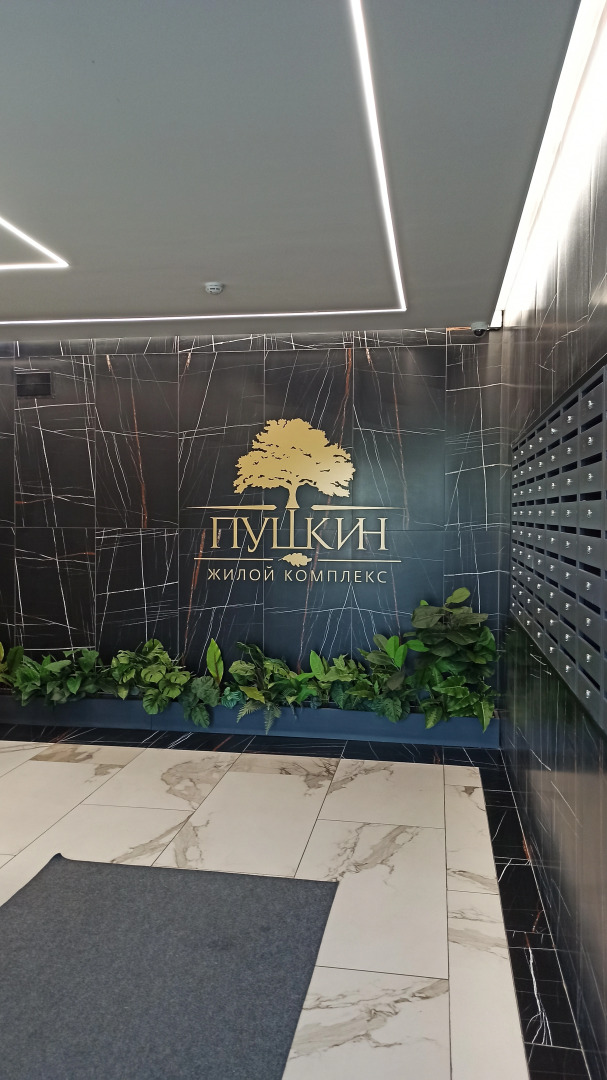 Апартаменты Пушкин