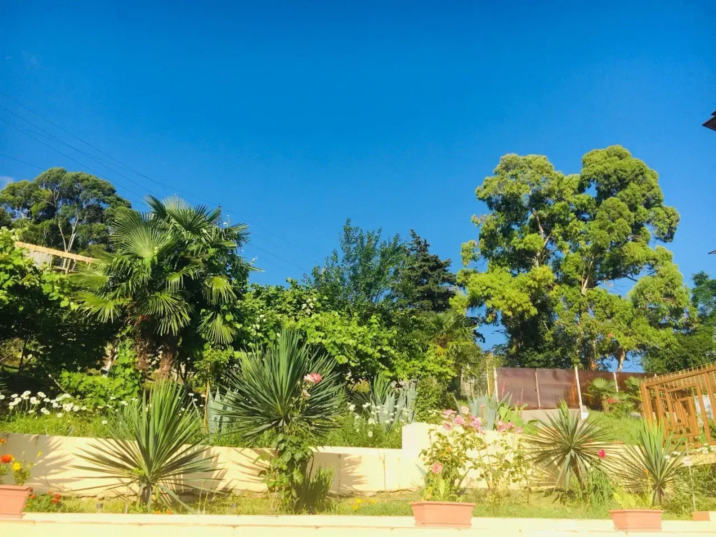 Апарт-Отель VillaRomano