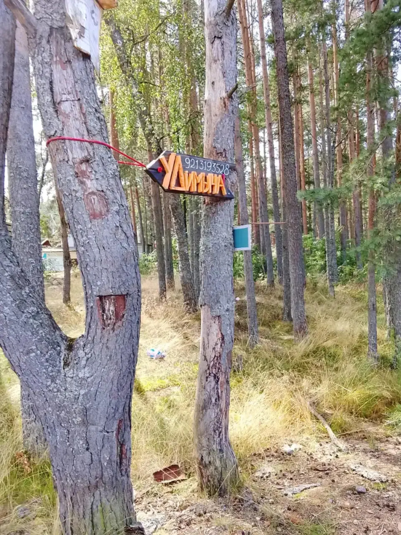 Гостевой дом У Димыча
