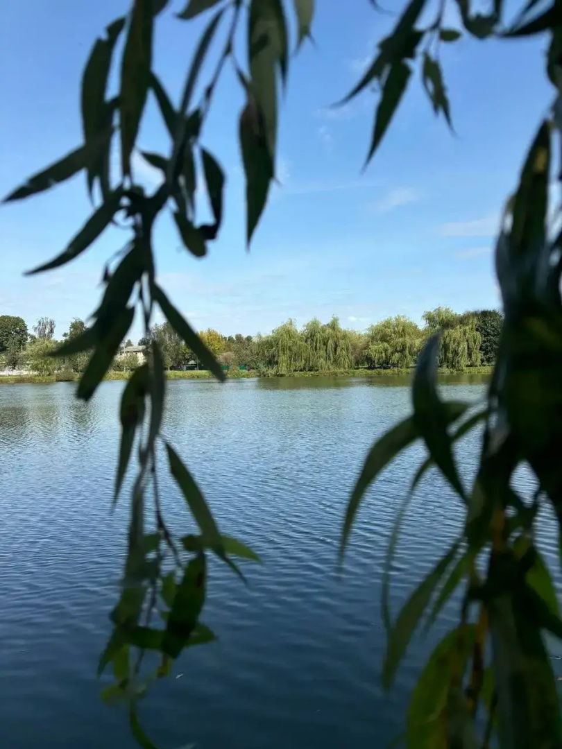 Квартира на берегу Свислочи