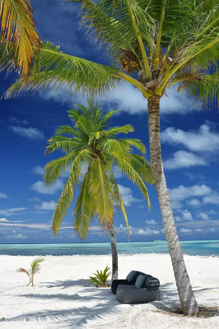 Курортный Отель Rahaa Resort