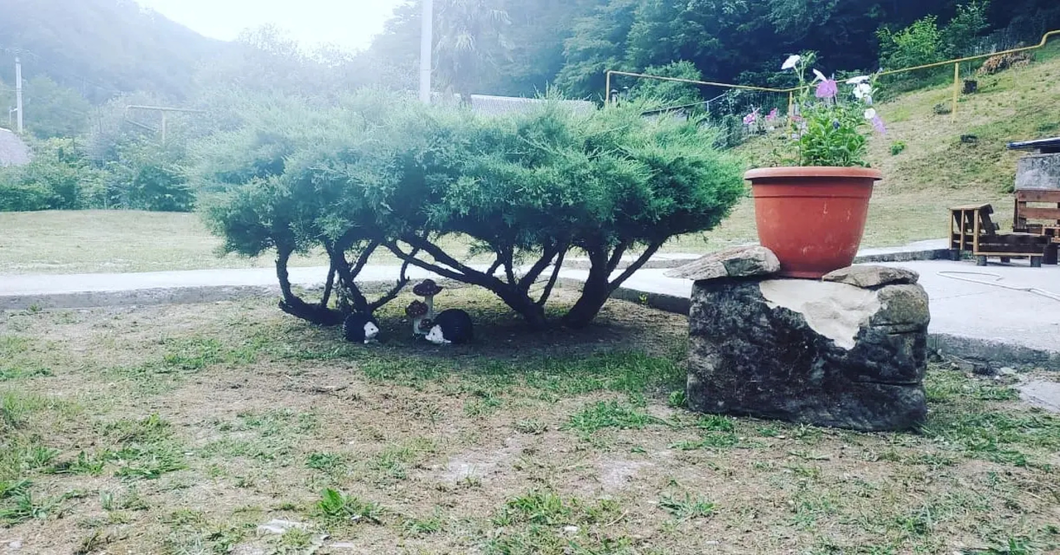 Rayskiy Domik Guest House