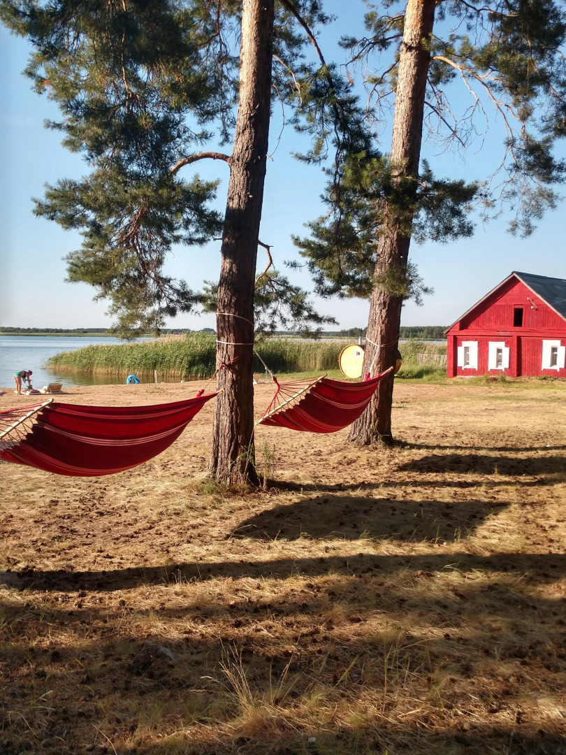 Кемпинг Лес