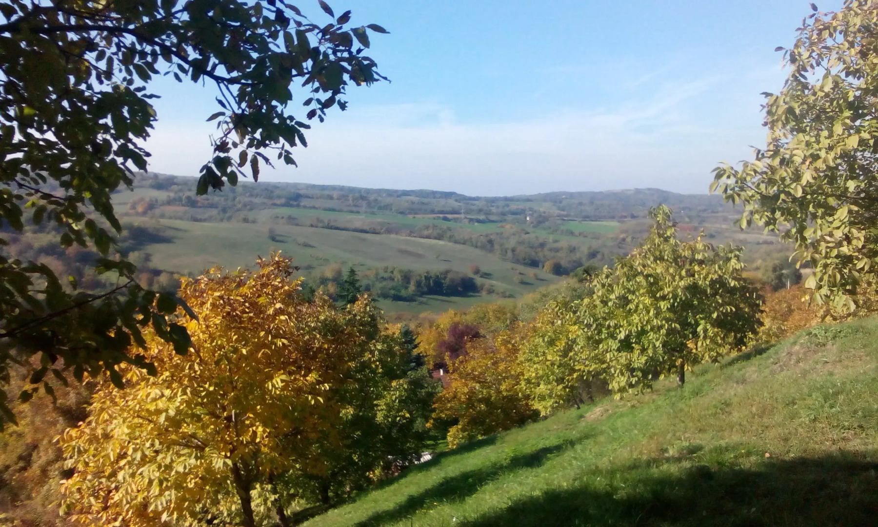 Гостевой Дом Vidmar