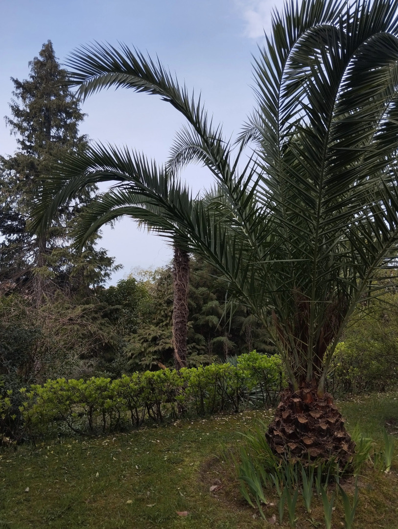 Санаторий Беларусь