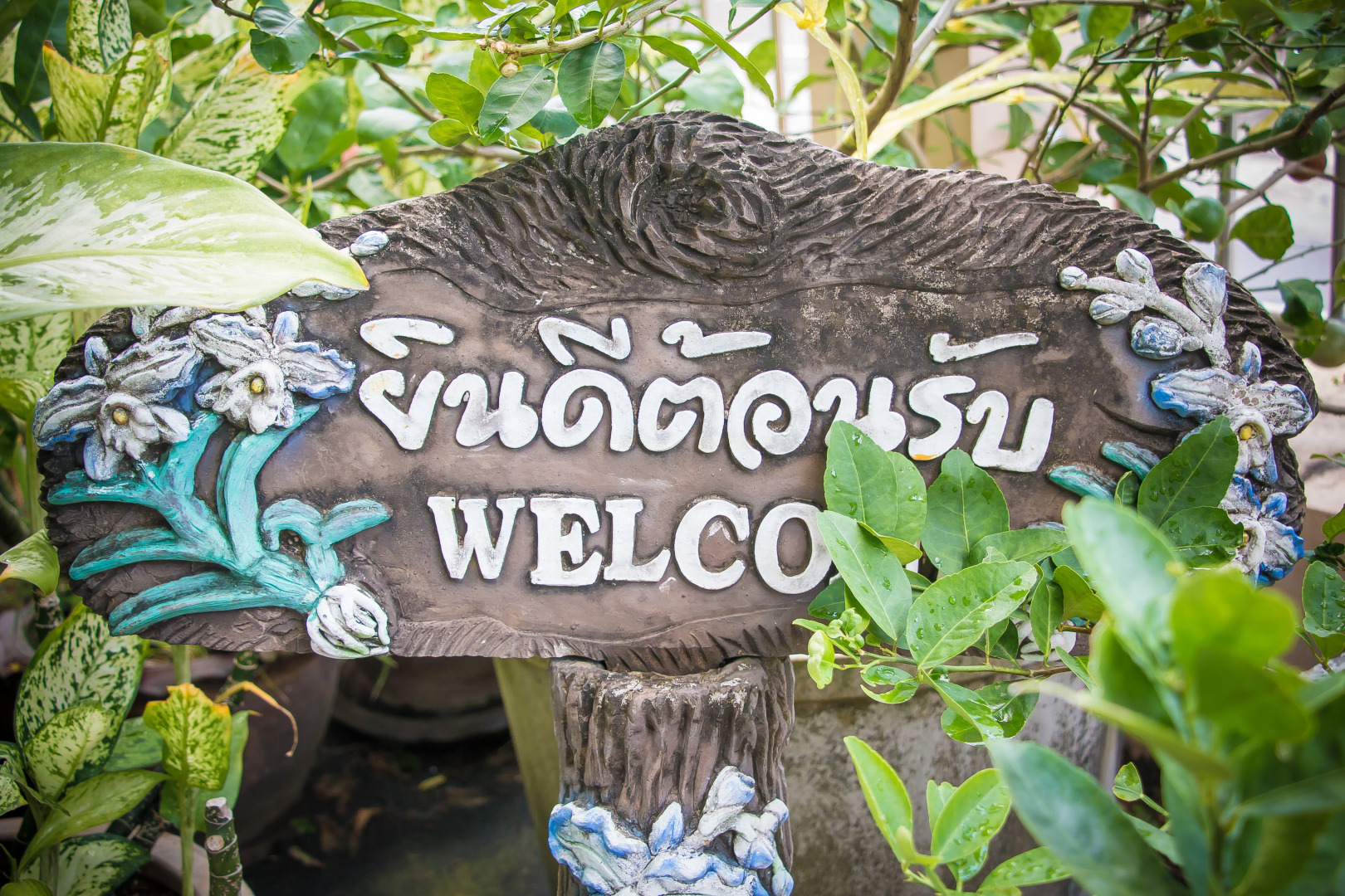 Отель Suchanan Hotel & Spa