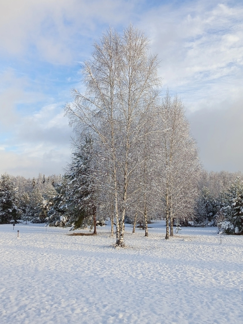 Частный дом Дыхание