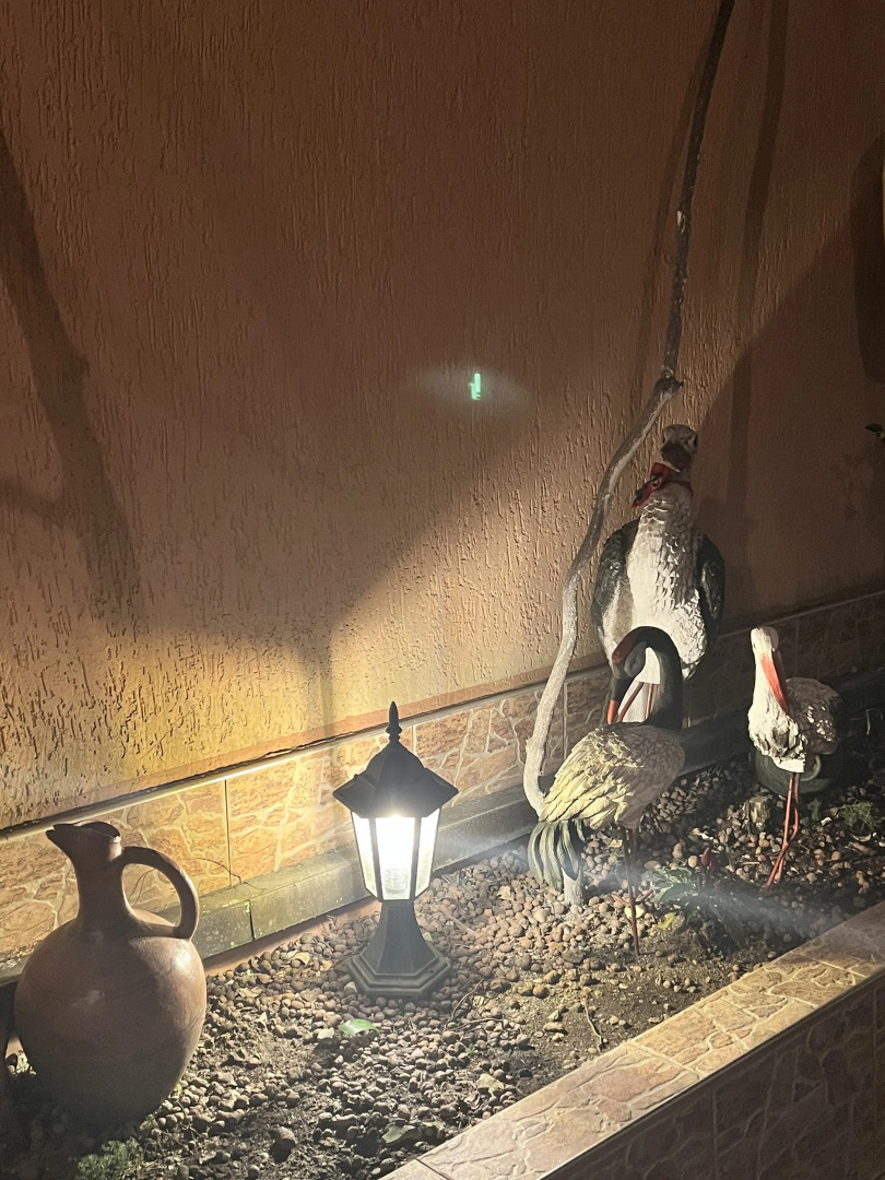 Гостевой дом Сюзи