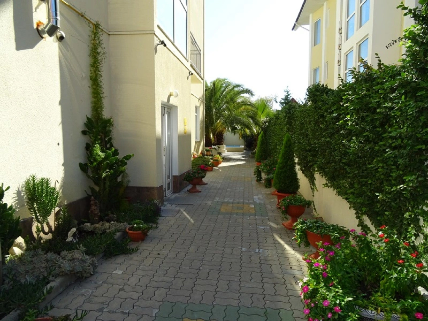 Гостевой дом Пальма парк