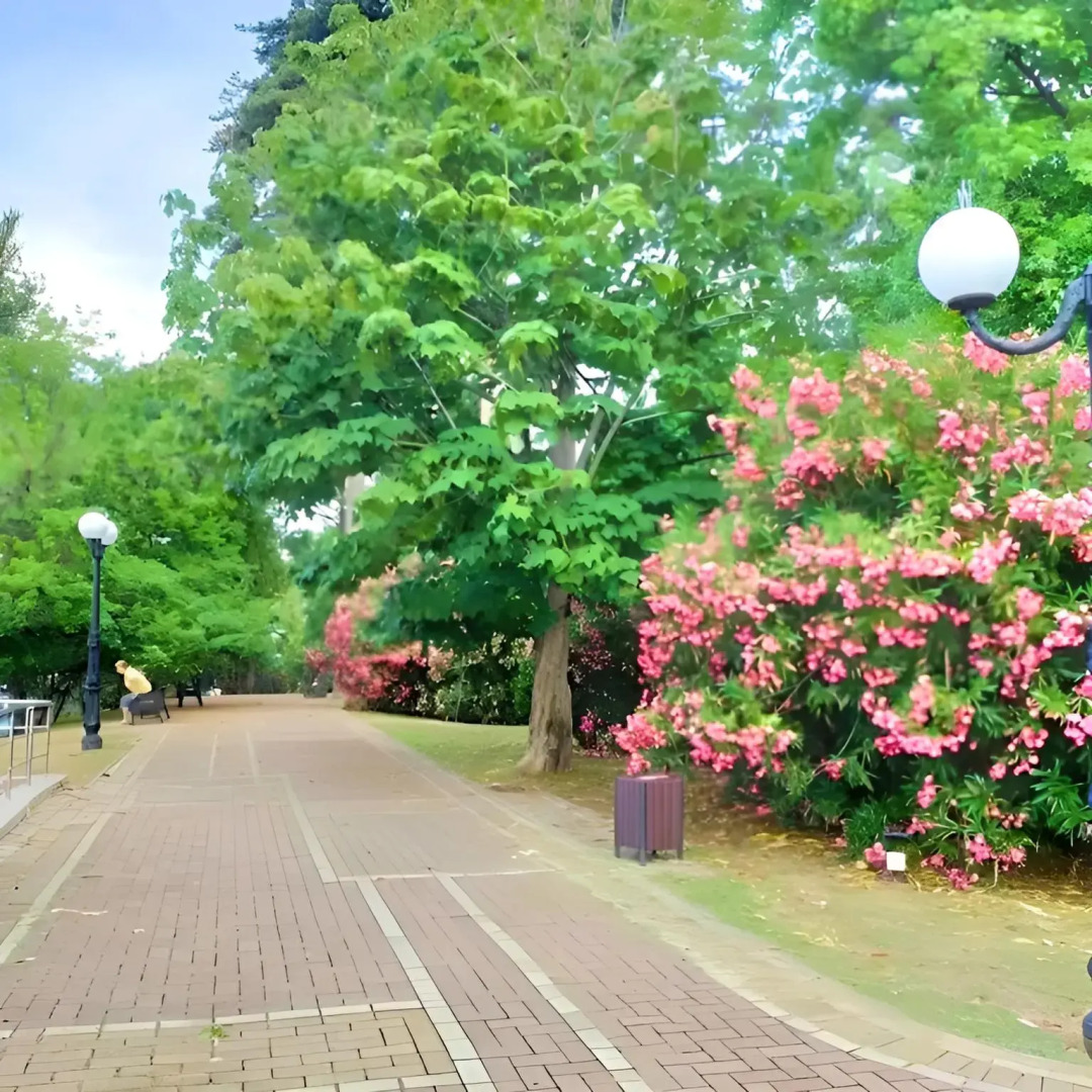 Апартаменты на Черноморской