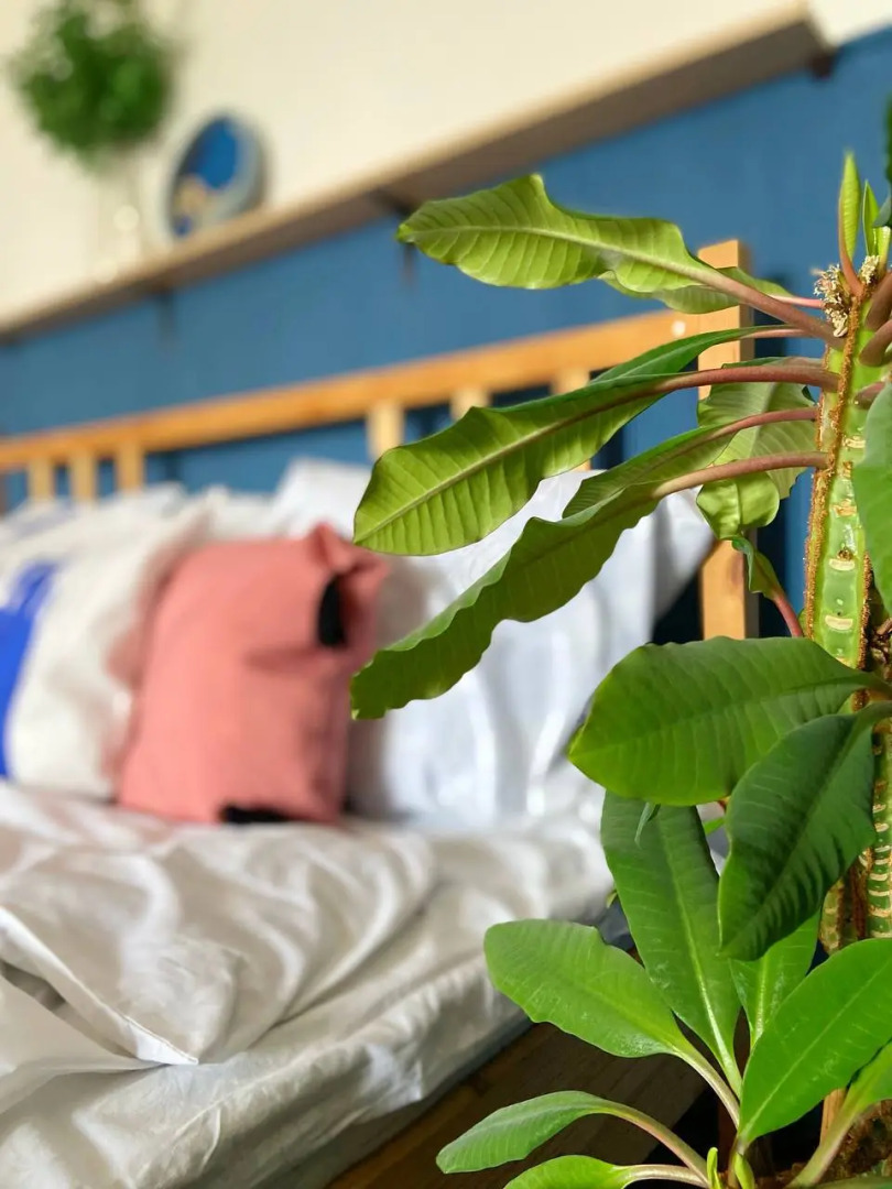 Апартаменты с видом на Воронежское водохранилище