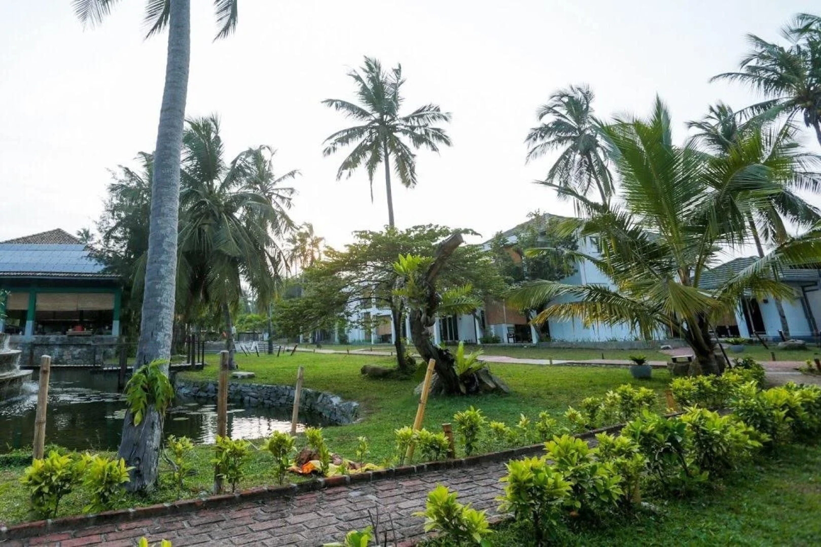 Отель Amaluna Resorts