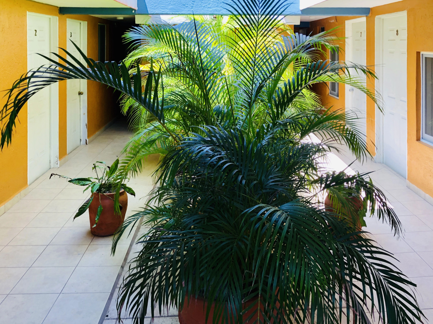 Отель Playa del Parque By Rotamundos