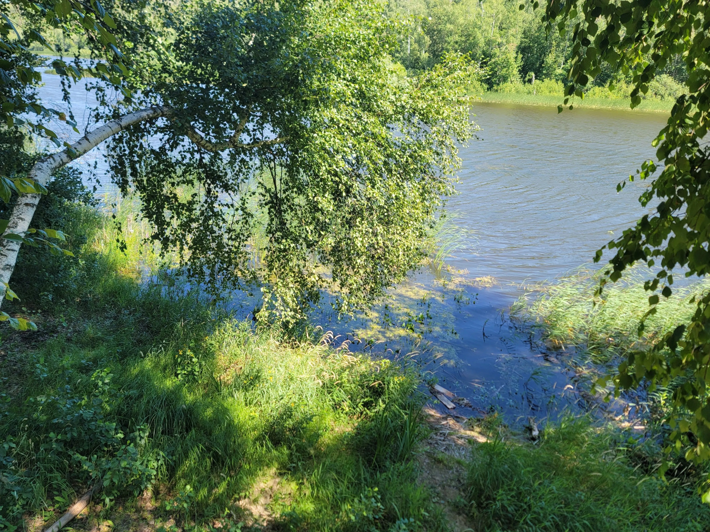 Частный Дом Уютный Двухкомнатный на Природе