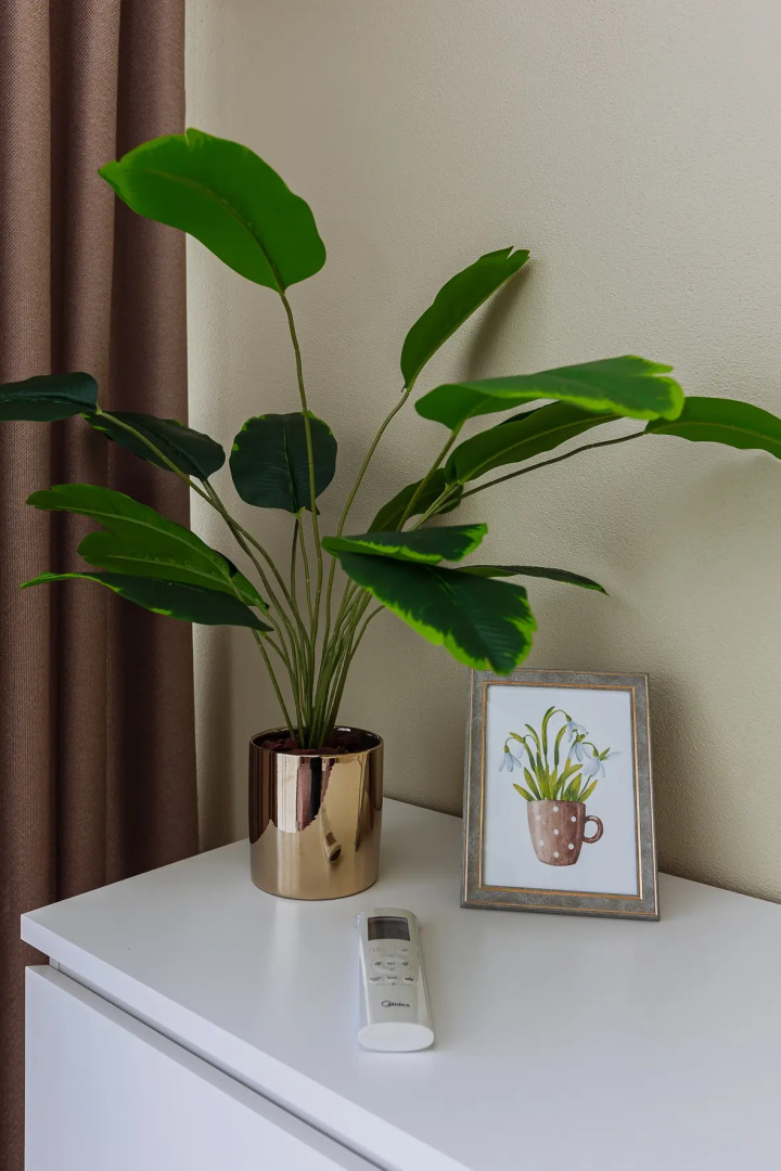 Квартира Очень большая квартира на берегу озера в Калининграде рядом с Рыбной деревней и Кафедральным собором