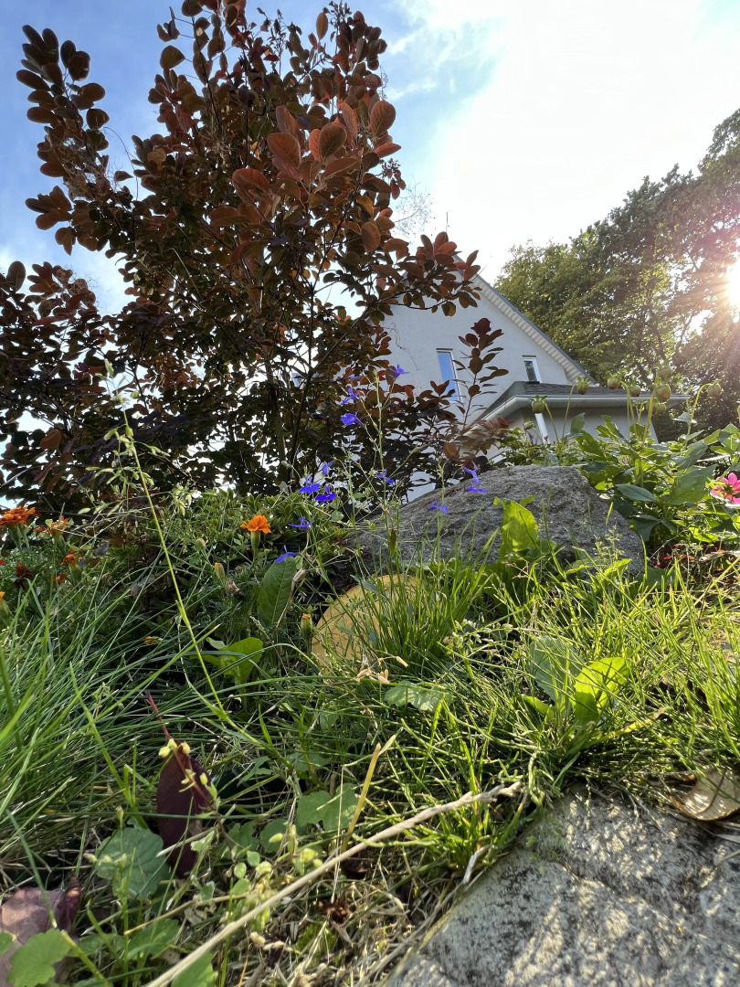 Гостевой дом Warnicken