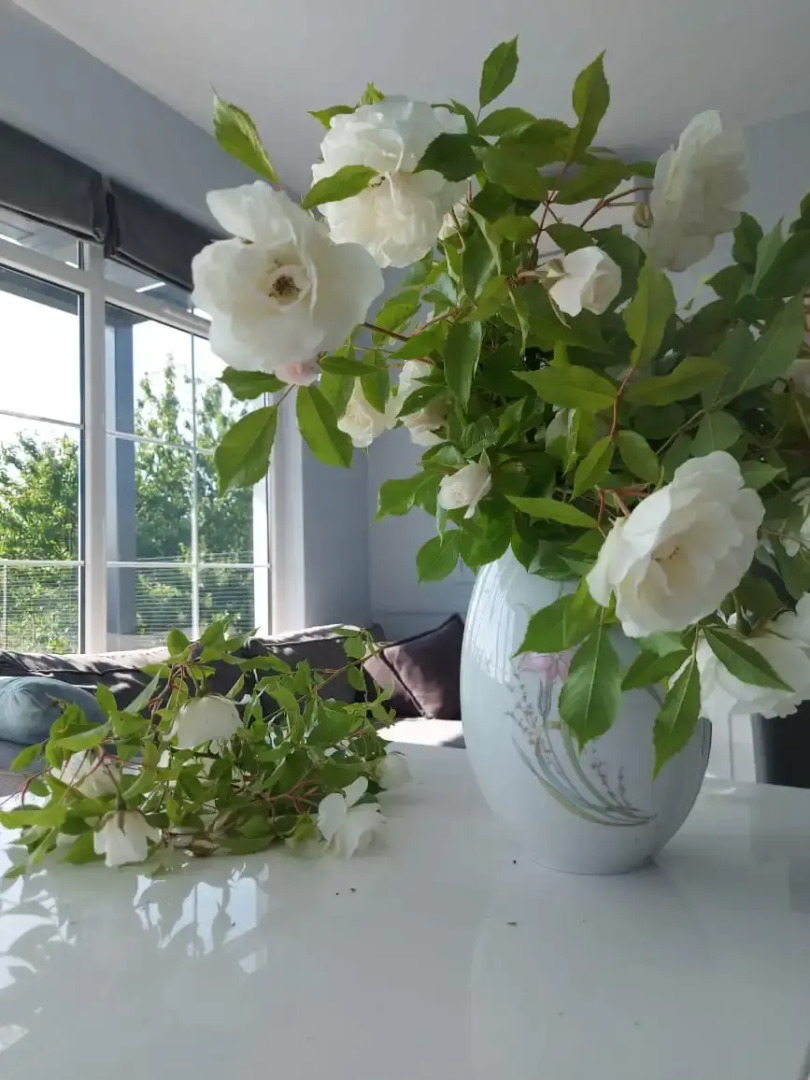 Частный дом Вид на море