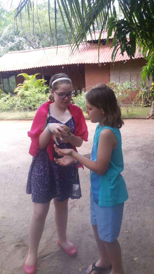 Курортный Отель Heina Nature Resort & Yala Safari