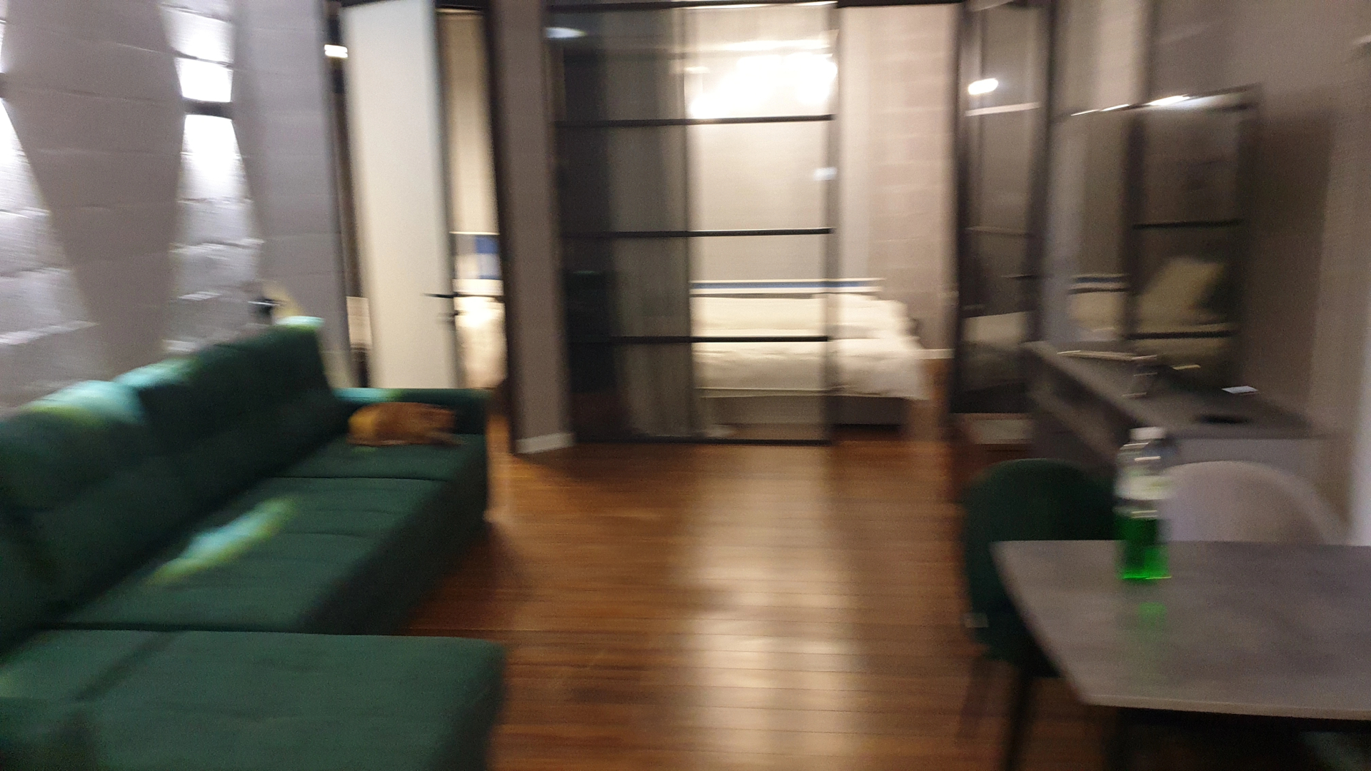 Апартаменты Green Lamp Downtown